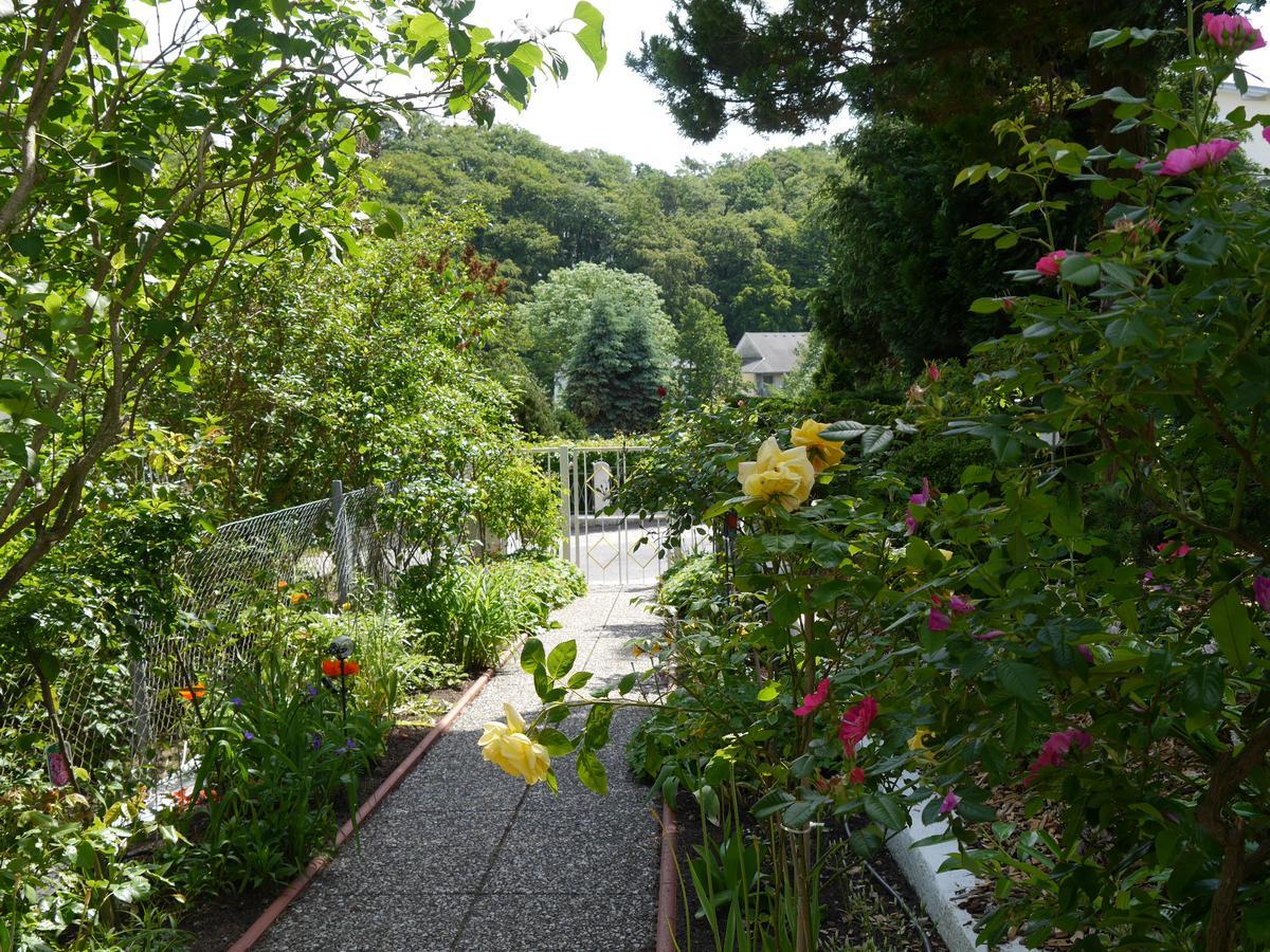 Pension Mittag Heringsdorf  Bagian luar foto